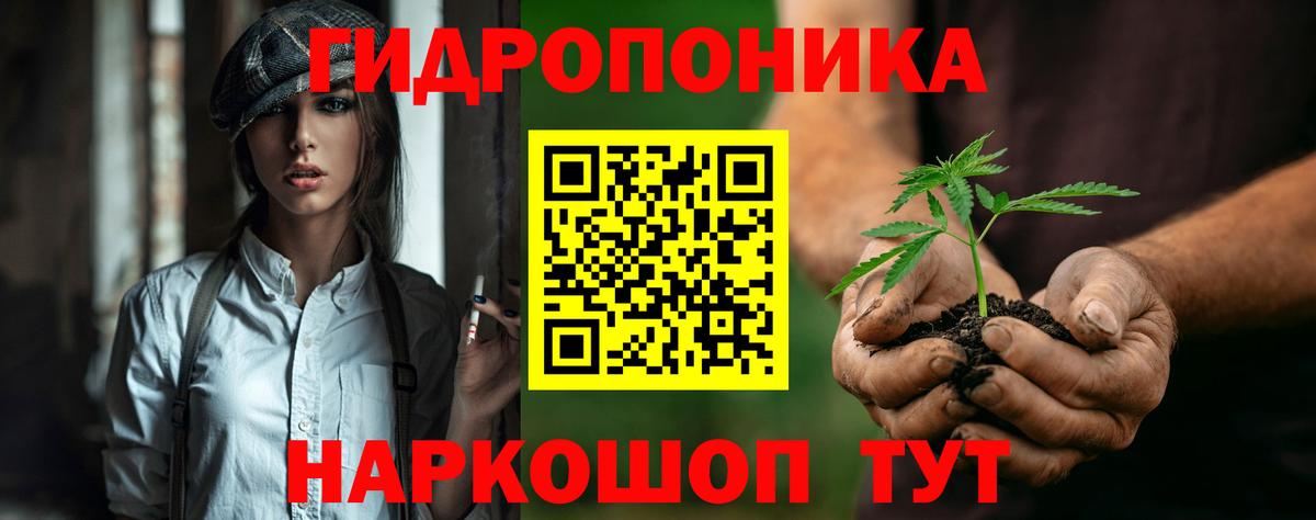 Краснокаменск  Каннабис планчик  Вход с VPN  Канабис Bruce Banner  МАРИХУАНА тримм 